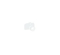 Bosch 0 280 213 009 Air Mass/Flow Sensor