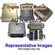 Genuine Nissan Parts - Authentic Catalog Part from The Factory (16017-1S710)